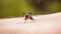 Microsoft Teams Image (59)