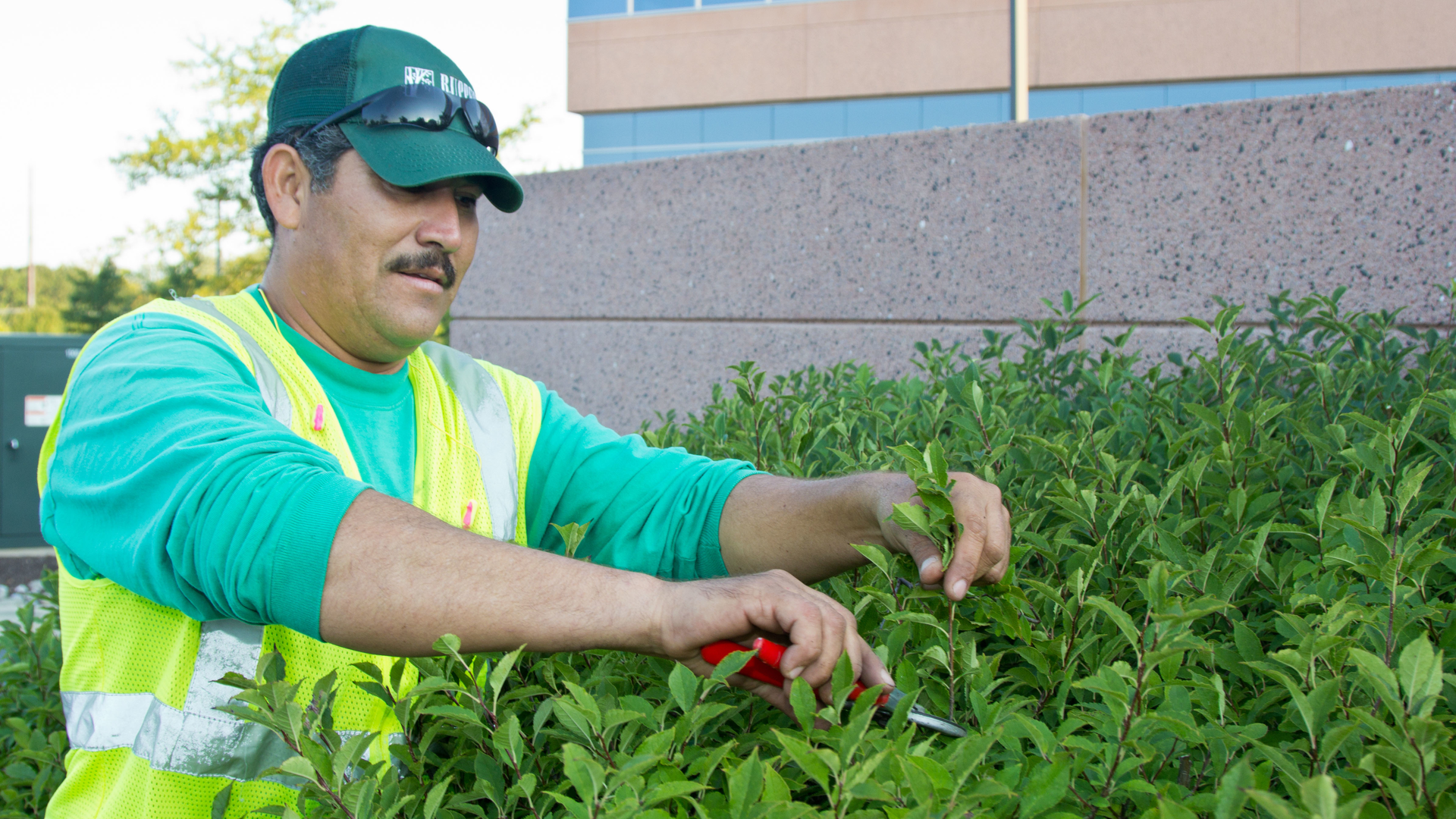 Photo Credit Nalpphilippe Nobile Photography 8029756403 O