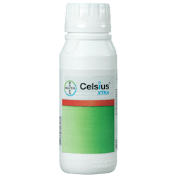 Celsius Xtra Image