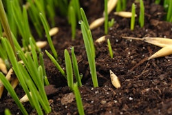 Microsoft Teams Image (72)