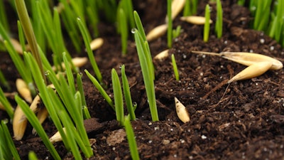 Microsoft Teams Image (72)