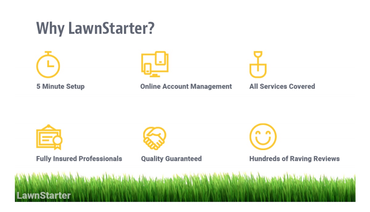 Lawn starter deals