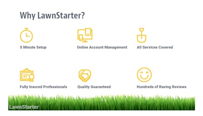 Why Lawn Starter