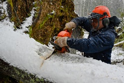 Microsoft Teams Image (82)