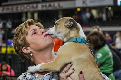 Gie+expo 2019 Muttmadness 1017194 1649