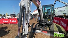Sneak Peek Bobcat