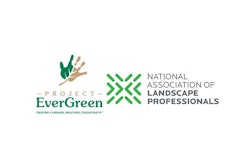 Project Evergreen