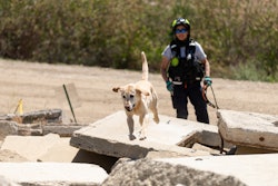 Sdf Tom Lee Culley Lower Rubble Search Utah Task Force 1 041721 09 Mehl