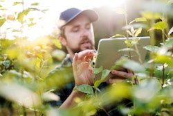 Green industry business