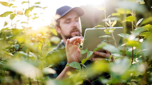 Green industry business