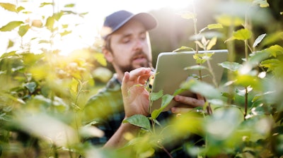 Green industry business