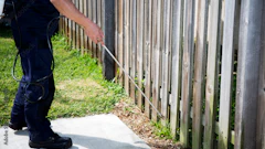 There are plenty of steps that landscapers can take to help homeowners avoid unnecessary damage and headaches from outdoor pests.