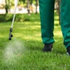 pesticide regulations