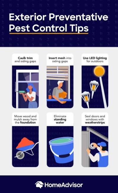 Exterior Preventative Pest Control Tips