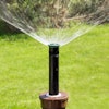 Hunter Pro-Spray