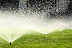 Microsoft Teams Image (79)