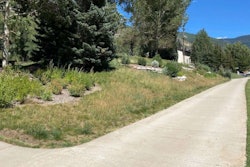 Vail turf grass