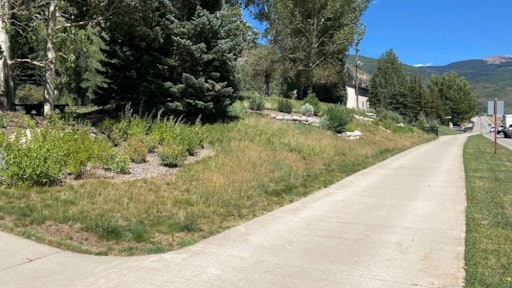 Vail turf grass