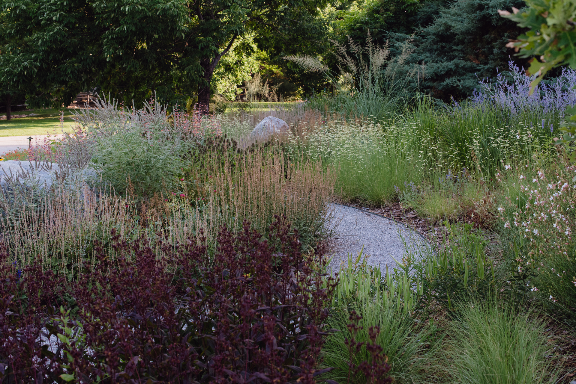 Designing With Local Plants Brings Home A Win For Colorado Landscaping   Cover.61dd113b05e19 