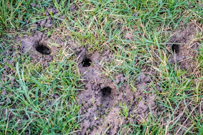 Microsoft Teams Image (11)