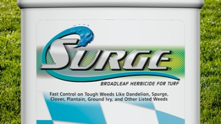 Surge 320x180