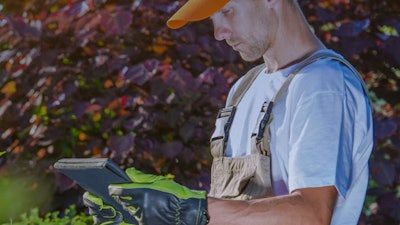 Workwave Real Green Lite