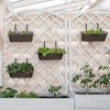 Vertical gardens add more visual interest to a space.