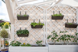 Vertical gardens add more visual interest to a space.