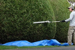 Adobe Stock 6561607 Landscaping Horticulture