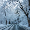 Winter Inline (20)