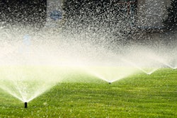 Adobe Stock 69643492 (1)