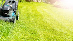 Adobe Stock 187622636 Mow Aleksei