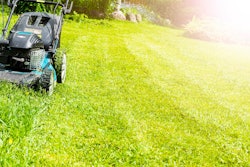 Adobe Stock 187622636 Mow Aleksei