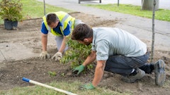 Project Ever Green Helen Simpson Park Project # 1