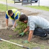Project Ever Green Helen Simpson Park Project # 1