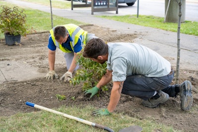 Project Ever Green Helen Simpson Park Project # 1