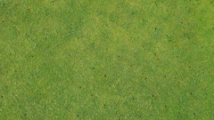 Adobe Stock 169618622