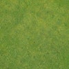 Adobe Stock 169618622