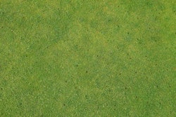 Adobe Stock 169618622