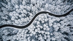 Adobe Stock 239708713