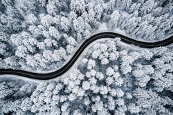 Adobe Stock 239708713