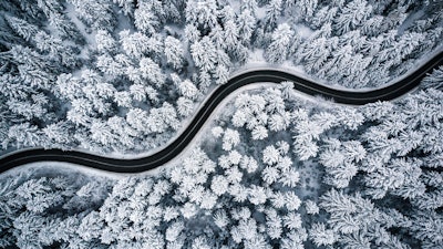 Adobe Stock 239708713