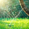 Adobe Stock 337819459