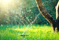 Adobe Stock 337819459