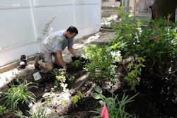 Green Care For Communities Nyc Project