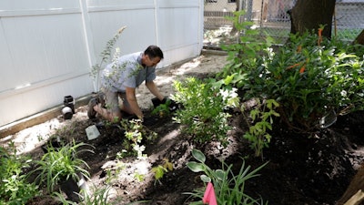 Green Care For Communities Nyc Project