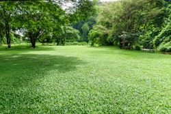 Adobe Stock 121426688