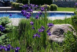 Adobe Stock 199072705