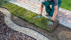 Adobe Stock 320823232