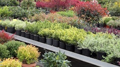 Adobe Stock 207607029